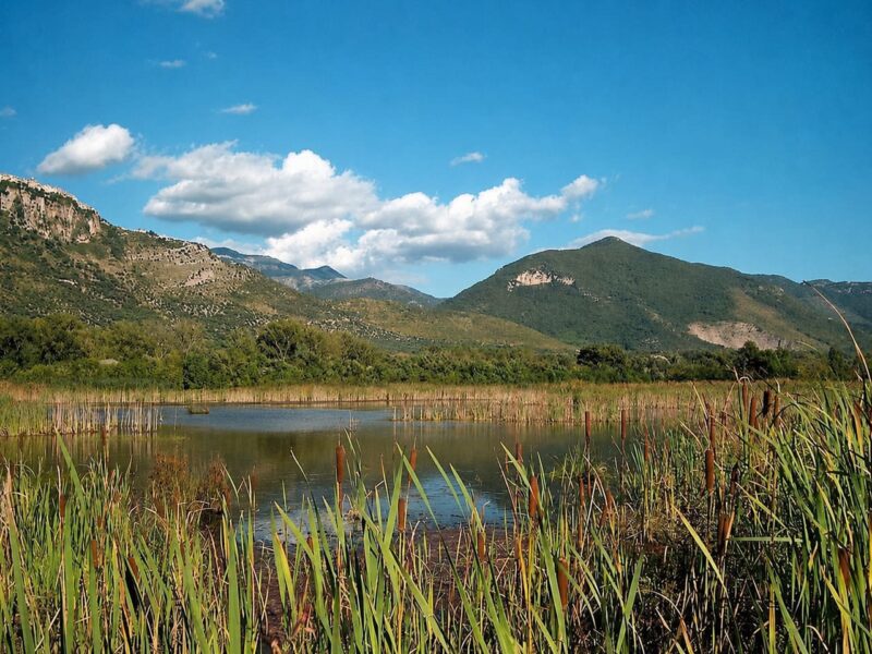 Paesaggio naturale del Parco di Pantanello con lago, canneti e montagne vicino all’Agriturismo Ali e Radici