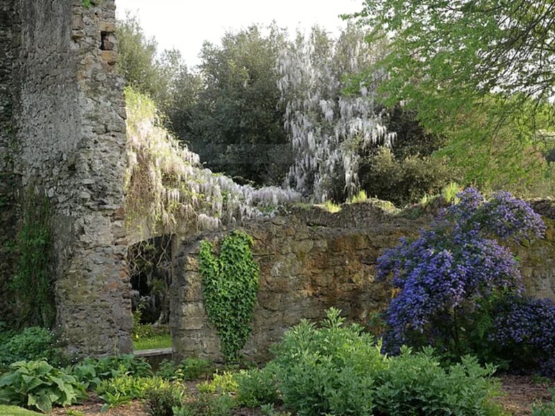 Scorcio di Torrecchia Vecchia con antiche mura in pietra e vegetazione vicino all’Agriturismo Ali e Radici